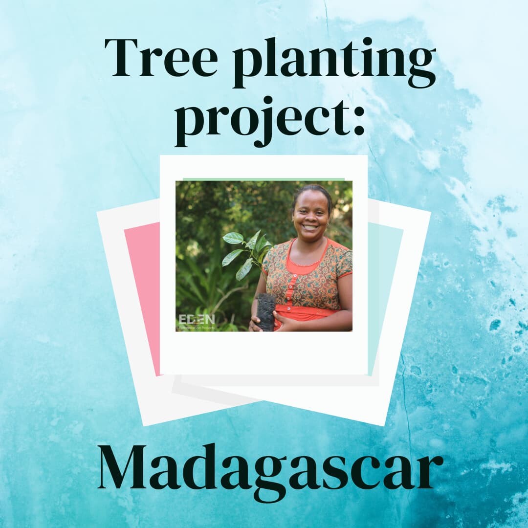 Planting trees in Madagascar project