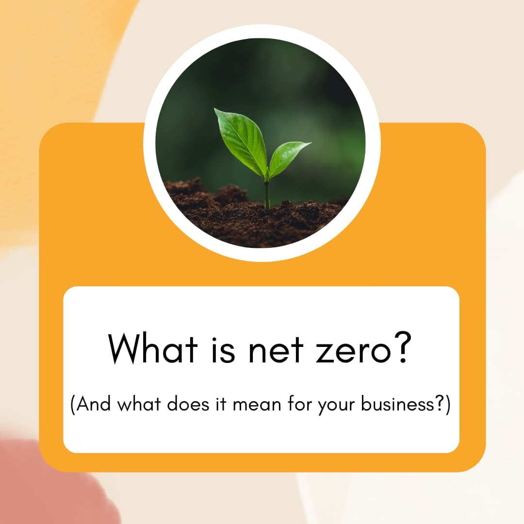 Photo of a small sapling blooming with text reads: 'What is net Zero?'