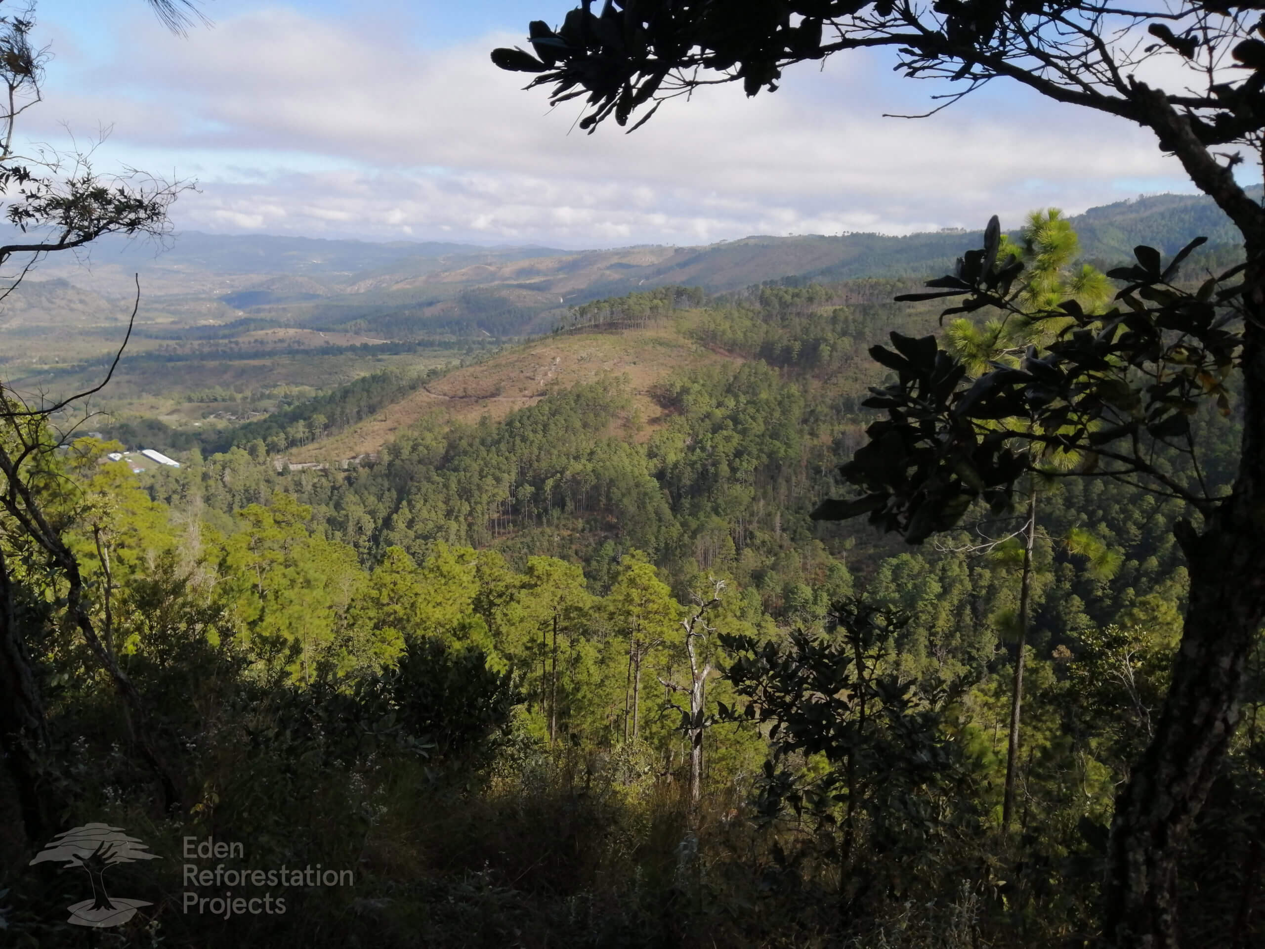 Honduras forest landscape