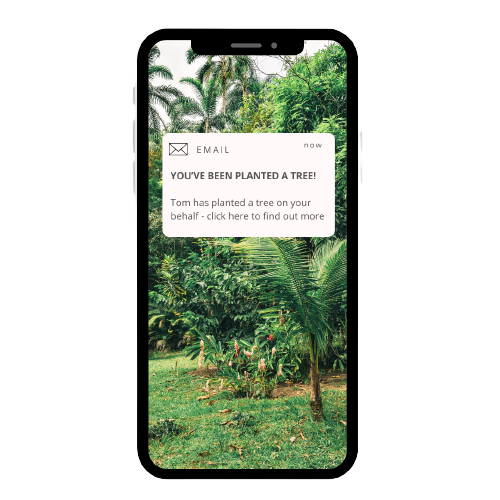 Smartphone with email notification saying 'You have planted a tree'